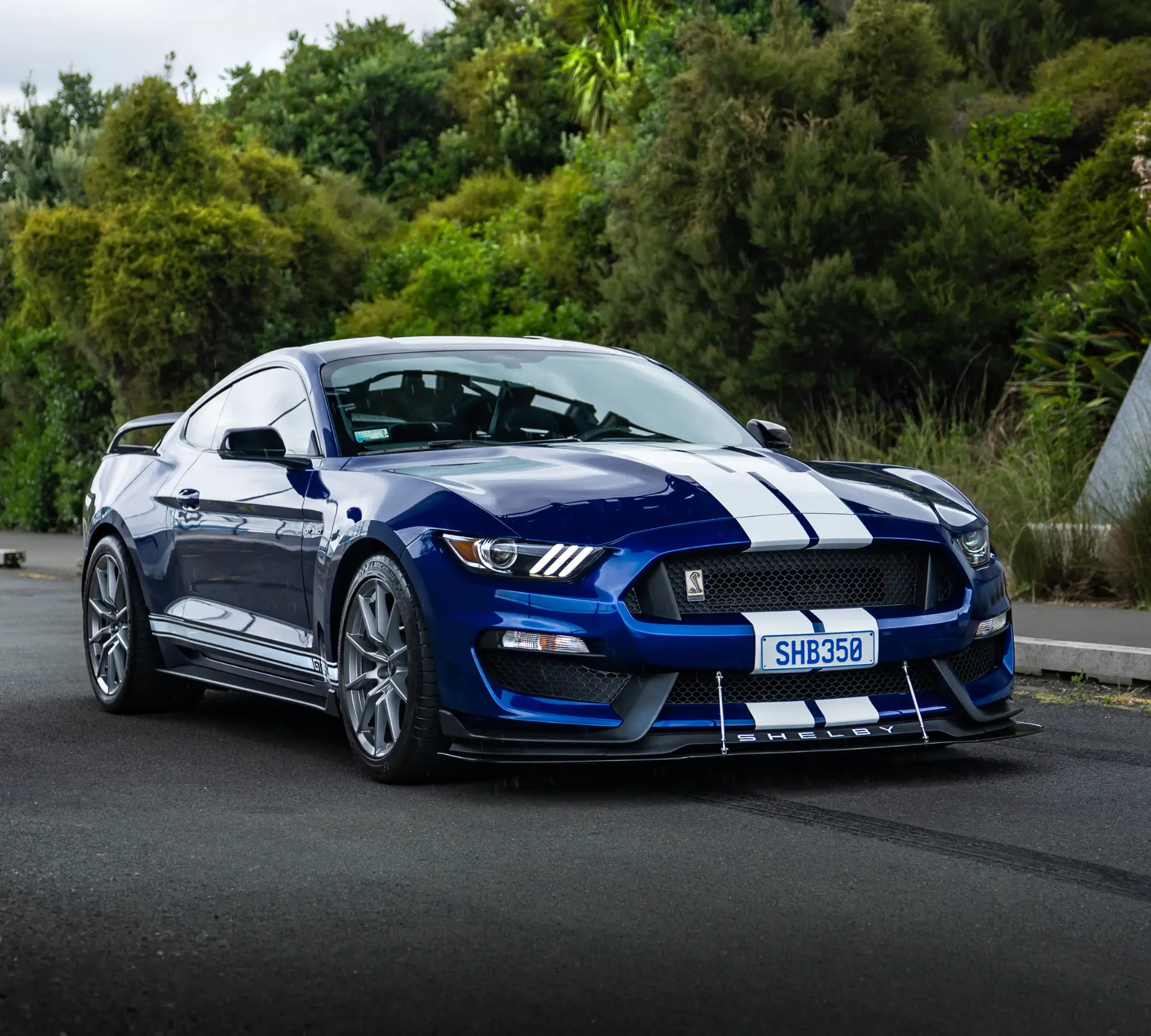 Performance Category